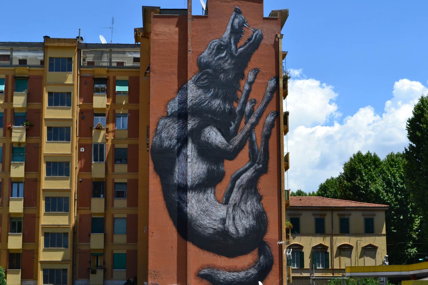 The jumping wolf a Testaccio
