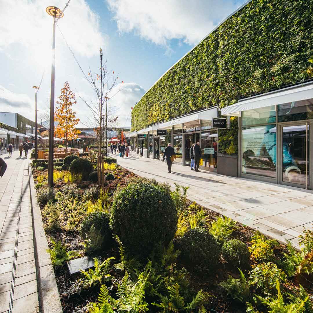 ashford_travel_diary