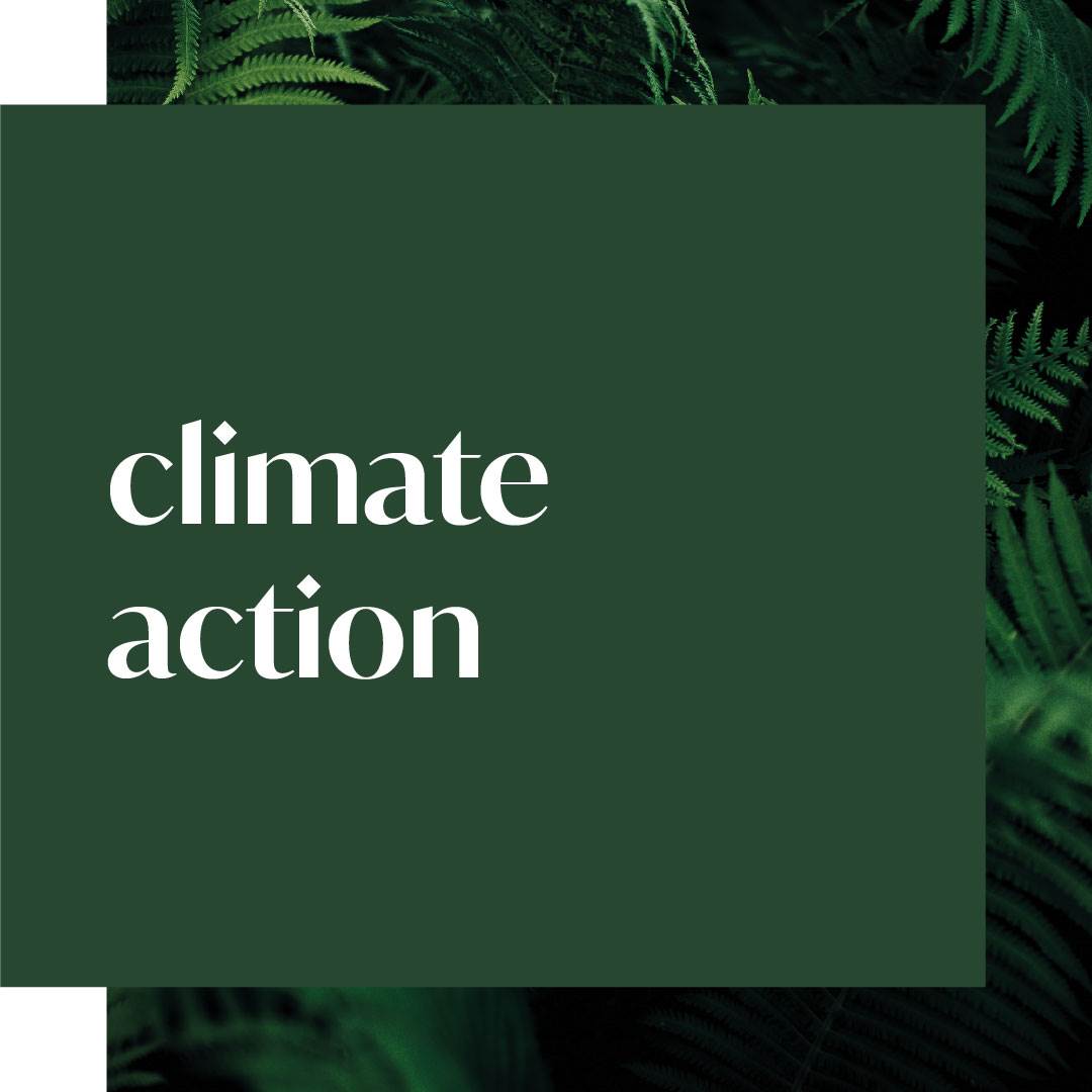 evolve_sustainability_ourimpact