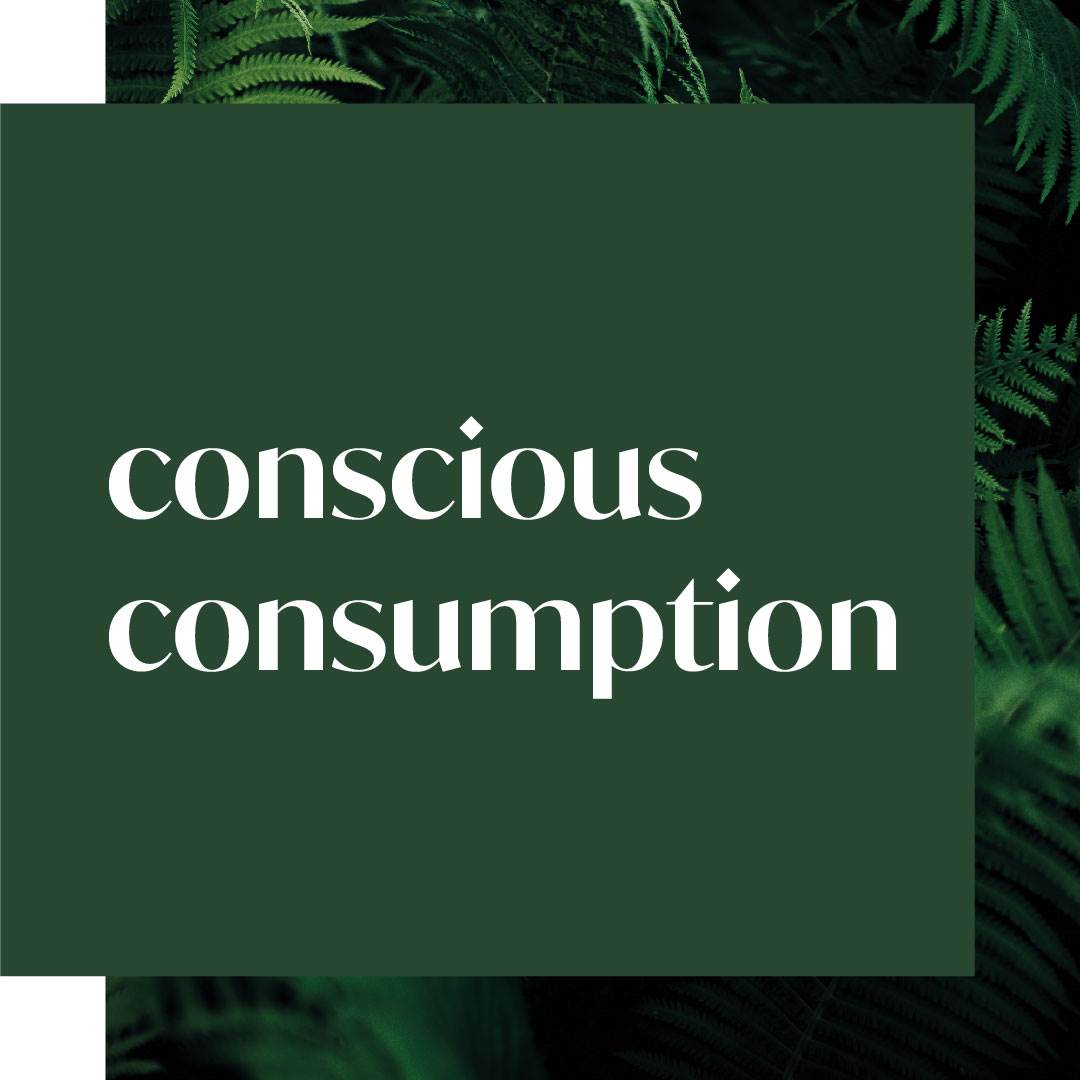 evolve_sustainability_ourimpact