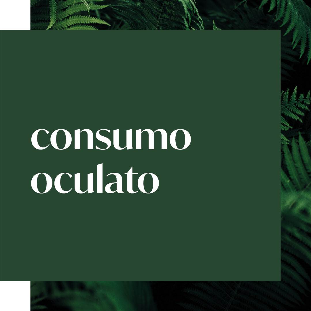 evolve_sustainability_ourimpact